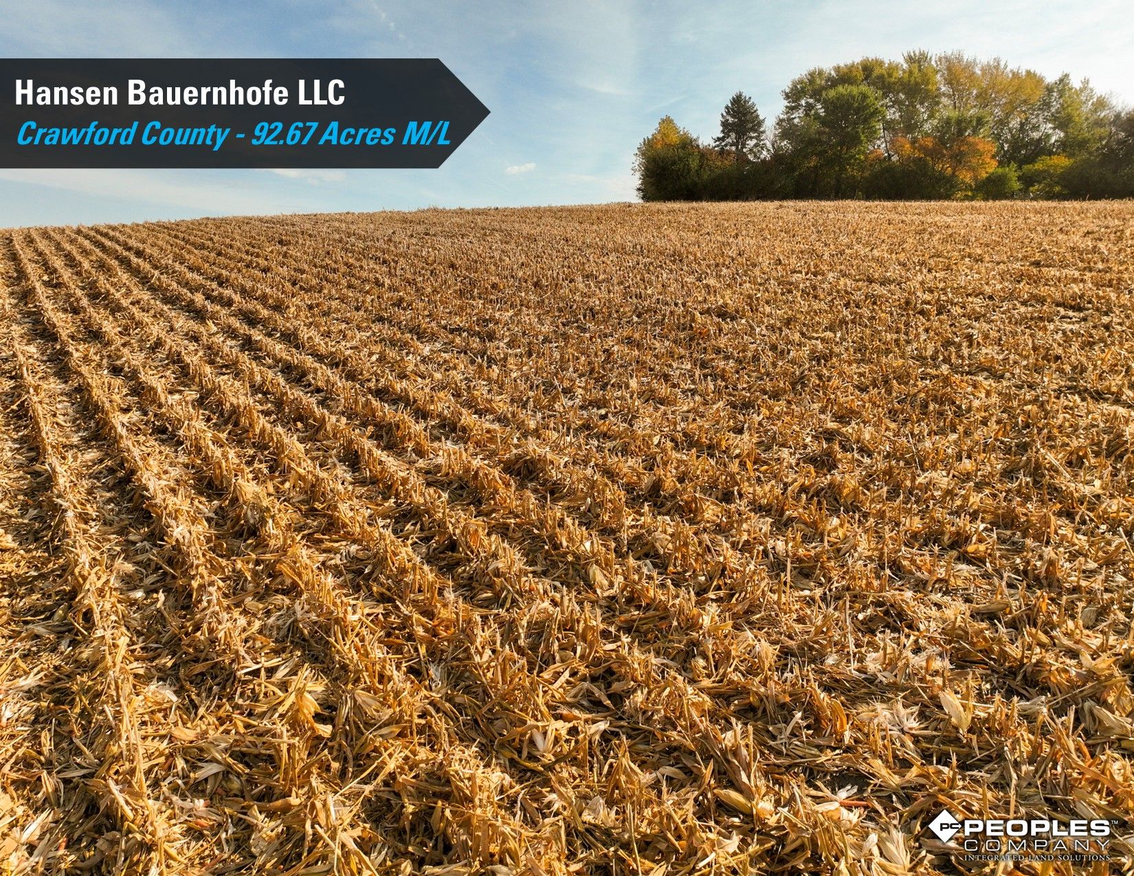 Listing Photo: Crawford-County-Iowa-Farmland-Auction-92.67-Acres-Bevis-Family-Trust-Two-Tracts (18)